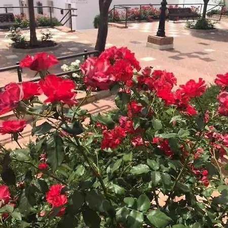 Silica Near Bonzana Square * Benalmadena